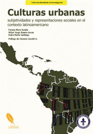 Cubierta para Culturas urbanas, subjetividades y representaciones sociales en el contexto latinoamericano